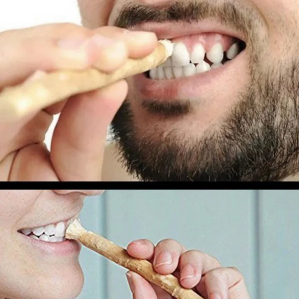 Miswak Tooth Cleaning Stick (FREE SHIPPING)